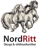Nordritt